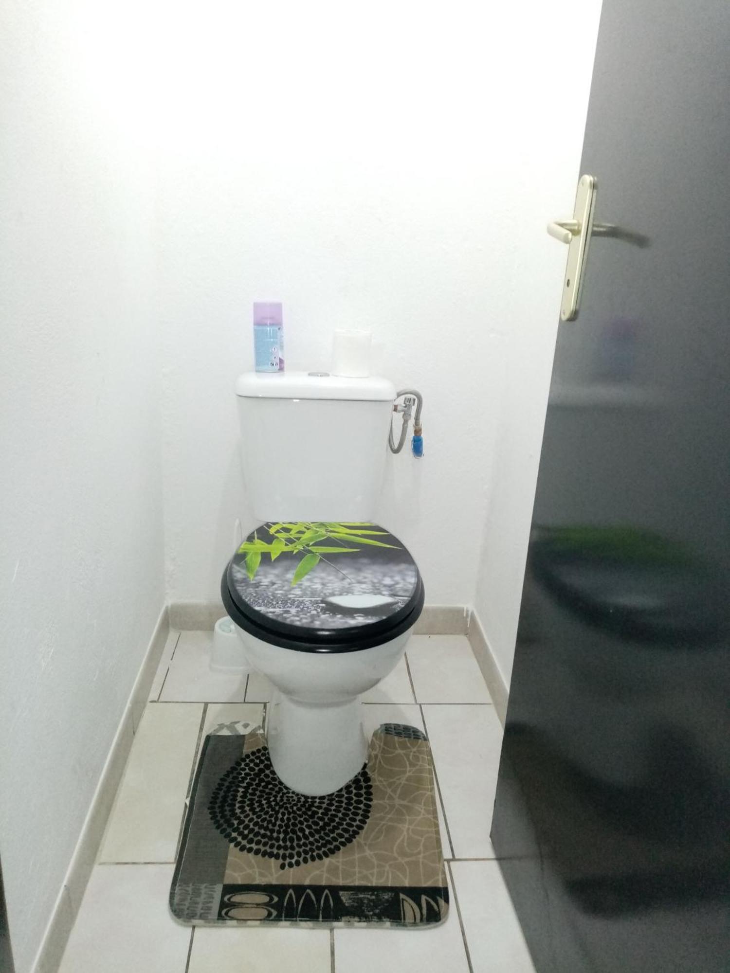 Le T2 Tranquille Apartment Kourou Exterior foto